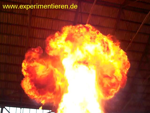 www.experimentieren.de